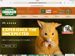 iPad - Currumbin Wildlife Sanctuary