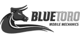 Blue Toro logo