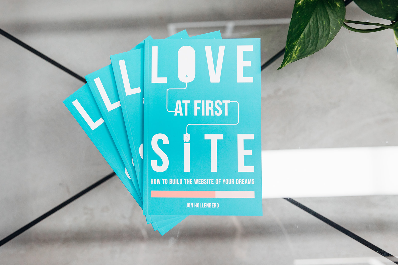 Love At First Site Book