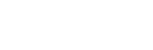 Next Level Racing Logo@2x