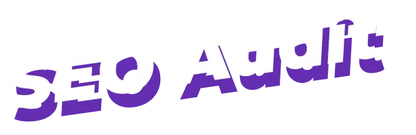 Seo Audit Tex Shadow